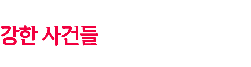 전문분야 등록증서